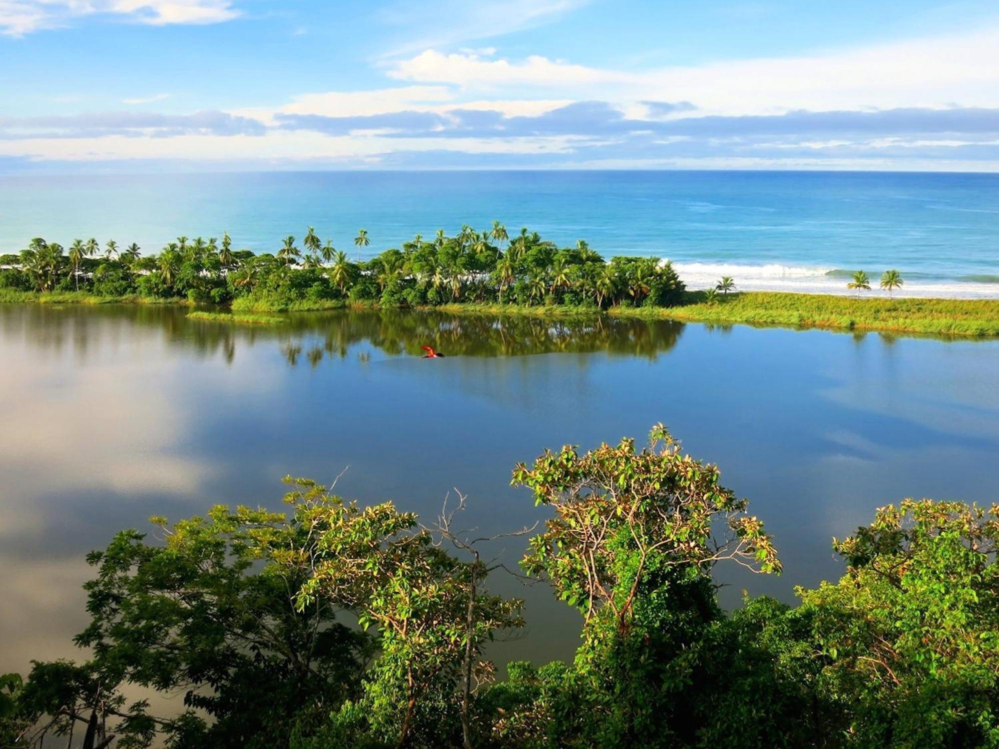 Lagunavista Villas Carate Экстерьер фото
